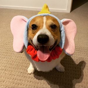 Meet your Posher, Jeannie